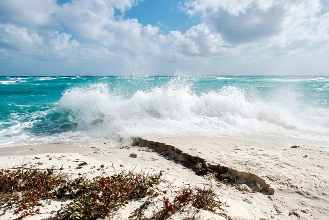 A heavy swell breaking clean over a low sand islet, spray suspended above the flat, wind-laid scrub in the foreground and a scour channel already cut through the sand to the turquoise water beyond.